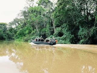 Why You Should Take This Peruvian Amazon River Cruise | Condé Nast Traveler