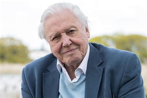 Watching David Attenborough documentaries just as good for you as mindfulness, study finds | The ...