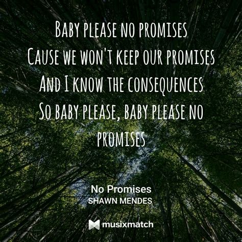 No Promises// Shawn mendes | Shawn mendes song lyrics, Shawn mendes, No ...