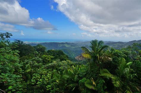 El Yunque National Rainforest - Puerto Rico | Puerto rico, Natural ...