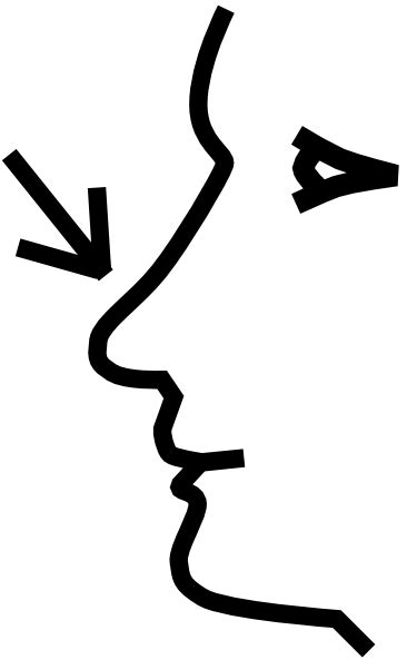 Free nose health high resolution clip art all picture - Cliparting.com