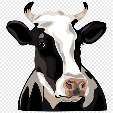 Free download | Black, white, and brown cow illustration, Holstein ...