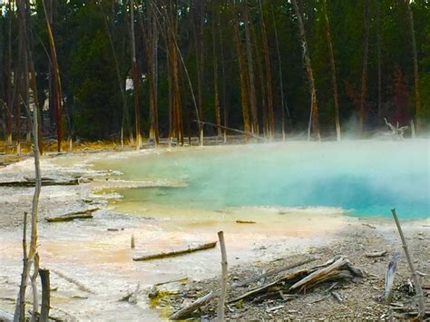 Yellowstone sulfur springs | Yellowstone, Sulphur springs, Waterfall