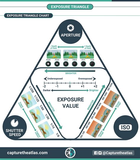 The exposure triangle in photography explained for beginners