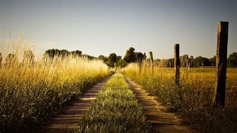 Summer country road Wallpaper in 2560x1440 | Country roads, Country ...