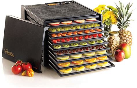 Dehydrator Buying Guide | Little Green Dot