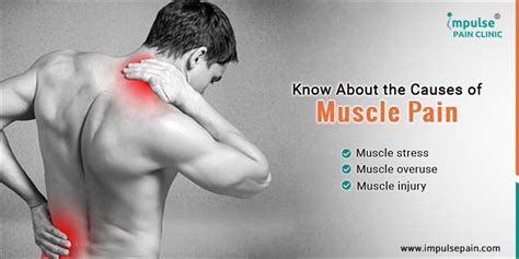 Website Blog-3 Causes of Muscle Pain Check your symptoms now - Impulse Pain