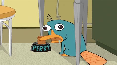 Phineas y Ferb España: Perry el Ornitorrinco