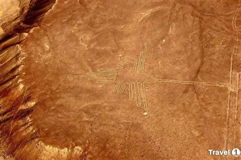 NAZCA LINES TOUR, Overflight of the Nazca Lines | Travel 1 Tours