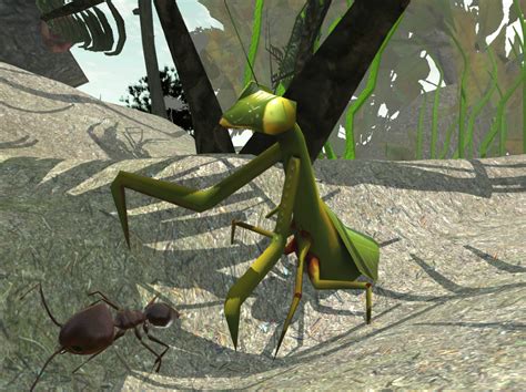 Ant Simulation 3D - Android Apps on Google Play