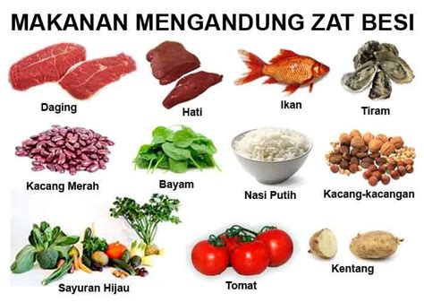 Makanan Yang Mengandung Zat Besi - INFO SEHAT