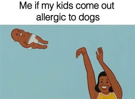 Funny Memes All Dog Parents Can Relate To | WackoJaco