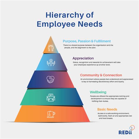 The REDii Hierarchy of Employee Needs | REDii