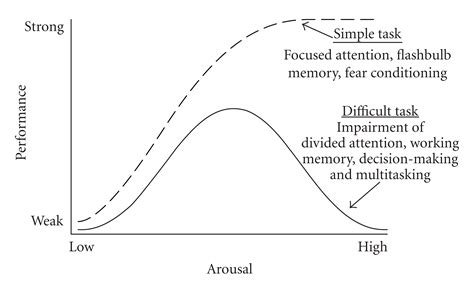 Optimizing the Stress/Anxiety Curve | Blueprint Prep