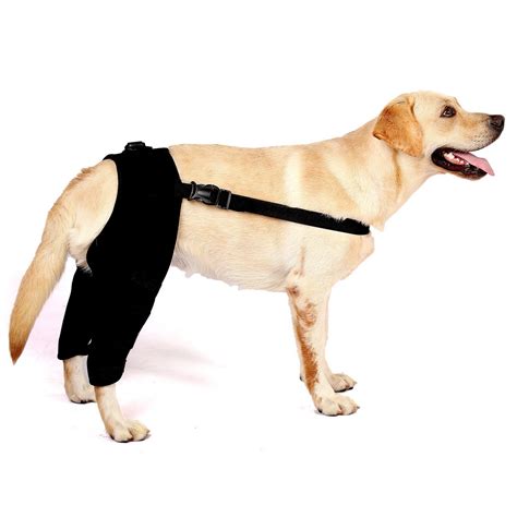 SELMAI 1Pair Dog Leg Brace for Hind Leg, Dog Knee Brace for Back Leg Torn ACL CCL, Canine Rear ...