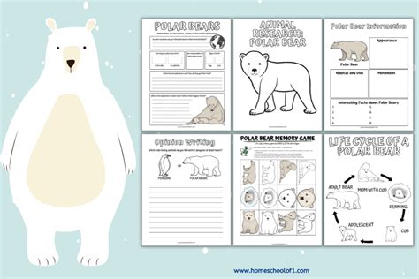 Polar Bear Life Cycle Picture