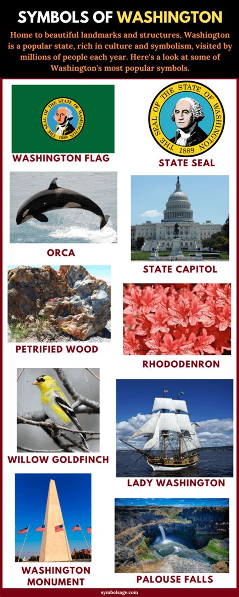 15 Symbols of Washington (List with Images) - Symbol Sage