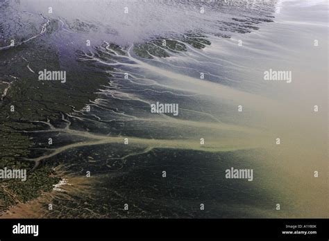 Tidal Creeks Priele Wadden Sea National Park National Park Wattenmeer North Sea Nordsee ...