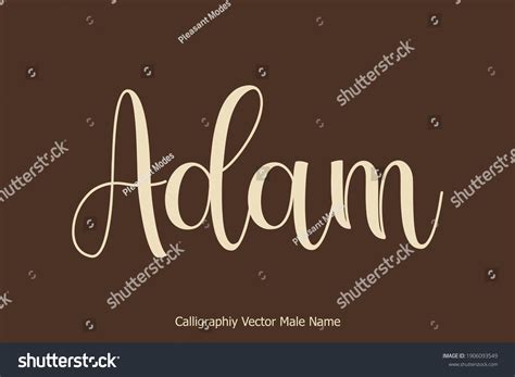 Adammale Name Cursive Typography Text: เวกเตอร์สต็อก (ปลอดค่าลิขสิทธิ์) 1906093549 | Shutterstock