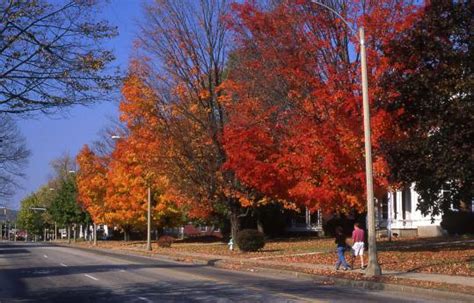 Keene, N.H.: an active, bright college town in a pretty, pastoral ...