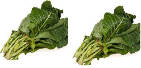 Collard Greens Meaning - ReumVegetable