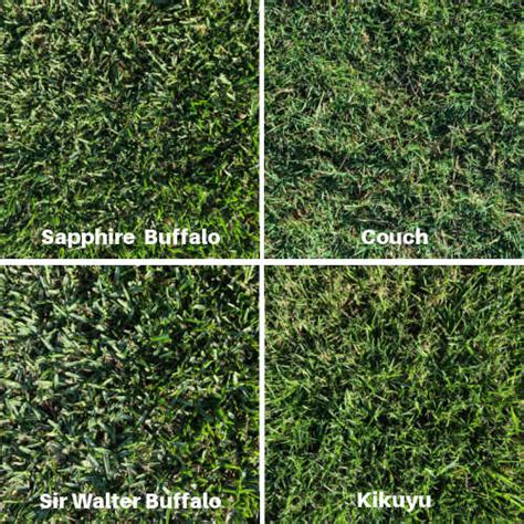 ETurf - Quality Lawn Turf Solutions