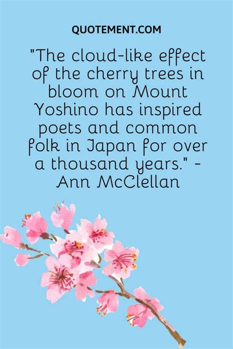 80 Best Cherry Blossom Quotes To Celebrate Perpetual Beauty