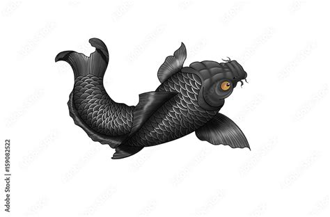 Japanese koi-fish tattoo design. Stock Illustration | Adobe Stock