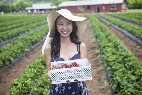 Strawberry Picking At Sweet Berry Farm - A Taste of Koko