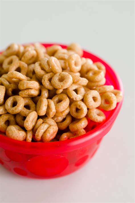 Homemade Honey Nut Cheerios in Three Minutes | Cupcake Project