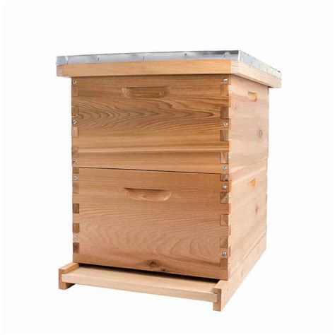 Managing Hive Capacity - PerfectBee