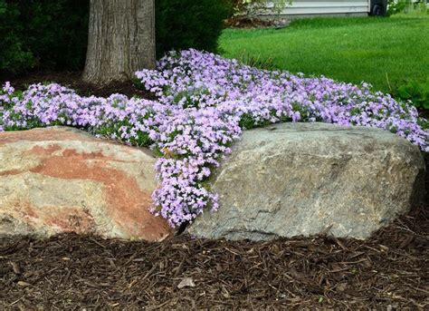 Pin on Lawn & Garden: Bob Vila's Picks