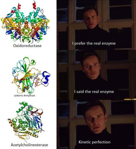 The best way to do biochem is with memes : r/okbuddybiochemistry