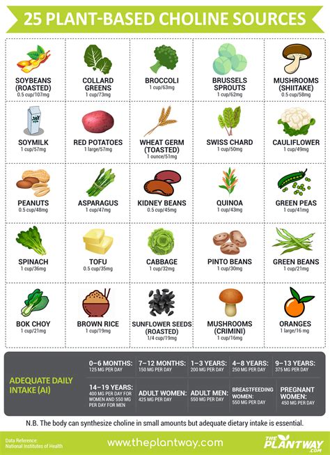 25 Vegan Sources of Choline | Choline foods, Prenatal nutrition, Pregnancy food