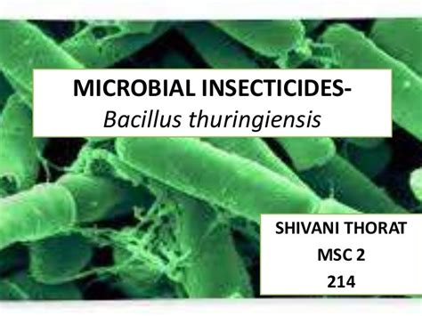 Bt Toxin as microbial insecticide