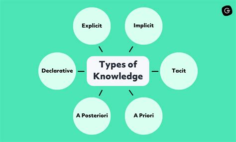 The 7 Types of Knowledge: Definitions, Examples, & More