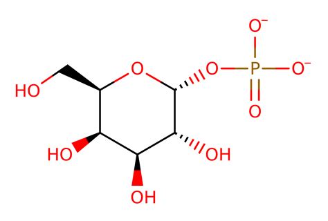 M-CSA Mechanism and Catalytic Site Atlas