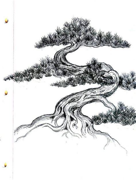 bonsai tattoo - ????????? Google #tree #tree #sketch | Bonsai tree ...