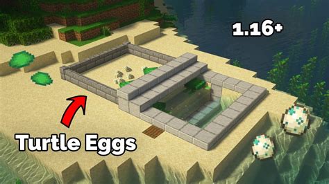 Minecraft How To Make a Turtle Farm (Scute & Eggs) Tutorial 1.18+ - YouTube