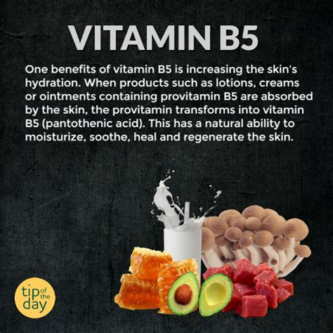 Is Vitamin B5 Good For Your Face Discounted Buying | www.rosmaninhoazevedo.com