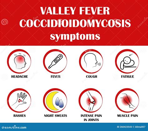 Valley Fever - Coccidioidomycosis, Symptoms Of Disease, Icon Vector ...