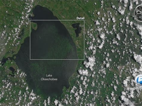 Satellite photo of Lake Okeechobee algae bloom