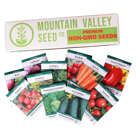 Salad Garden Seed Collection - Deluxe Assortment - 12 Non-GMO Vegetable ...