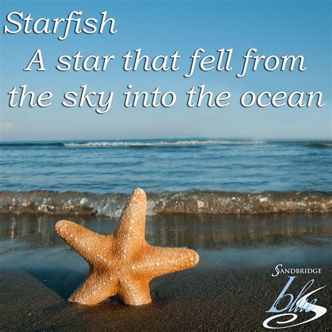 This is how we define a Starfish, how about you? #obx #outerbanks # ...