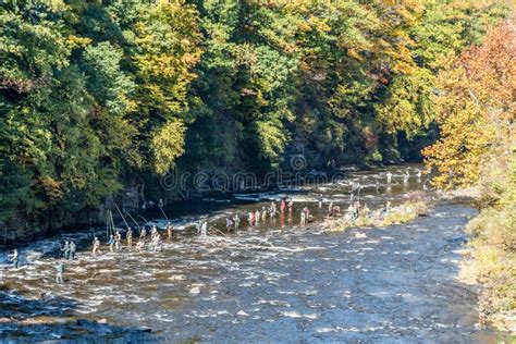 Salmon Fisherman on the Salmon River, New York Stock Image - Image of ...