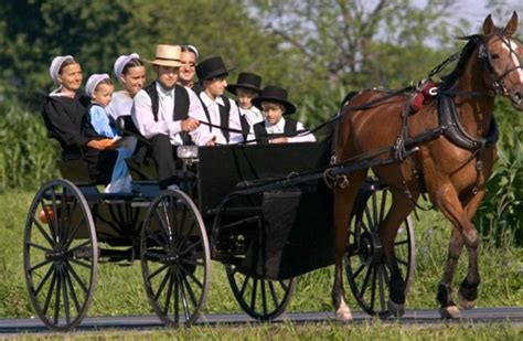 Lerne die faszinierende Kultur der Amish kennen! - TrendsCatchersDE