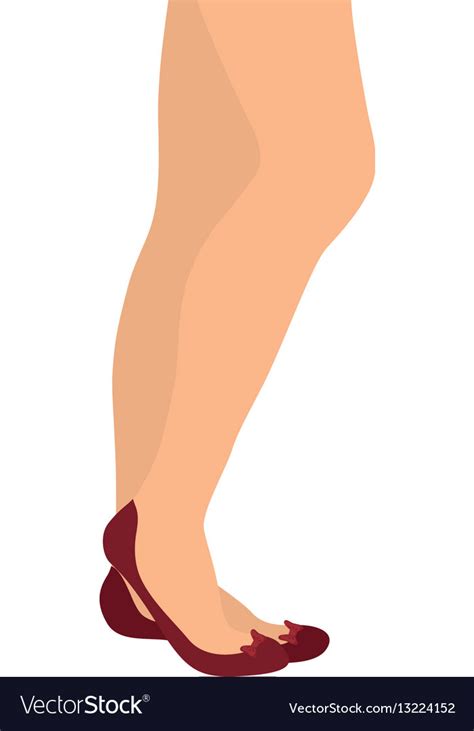 Woman legs cartoon Royalty Free Vector Image - VectorStock