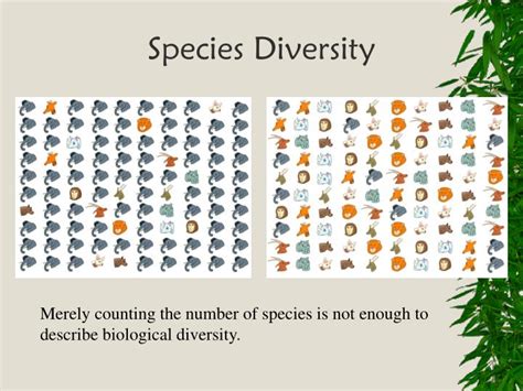 PPT - Chapter 7: Biological Diversity PowerPoint Presentation - ID:1986830