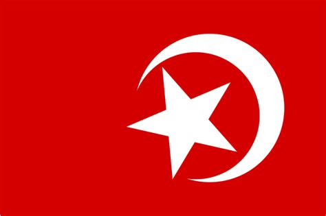 File:Nation of Islam flag.svg - Wikipedia, the free encyclopedia