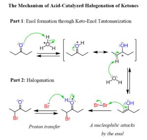 Alpha Halogenation of Enols and Enolates - Chemistry Steps